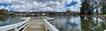Pond view